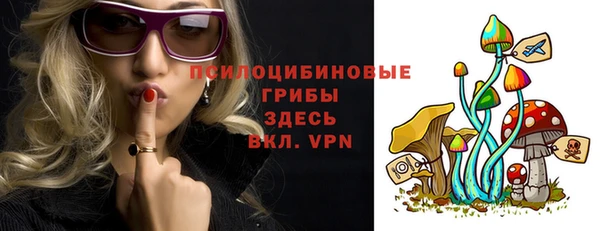 трава Арсеньев