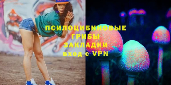 трава Арсеньев
