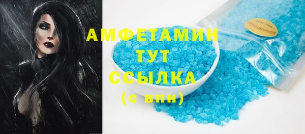 ГАЛЛЮЦИНОГЕННЫЕ ГРИБЫ Аркадак