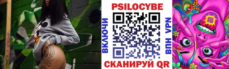 Псилоцибиновые грибы Cubensis  Томмот 